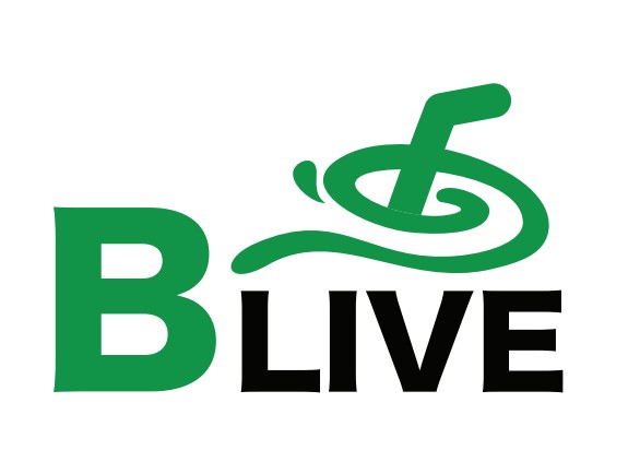 למעבר לחנות blive